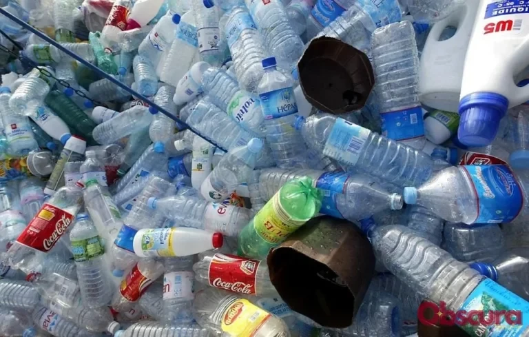 Recyclage en France : les défis industriels des emballages