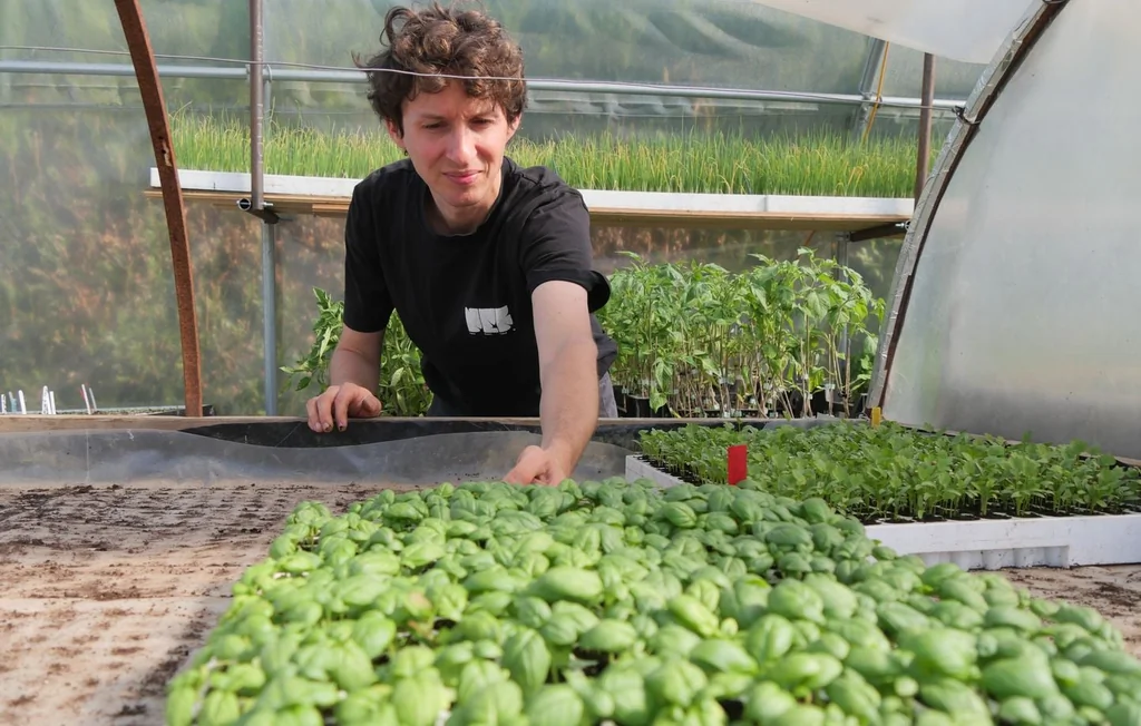 Rennes : la ferme de Quincé, entre maraîchage bio et guinguette