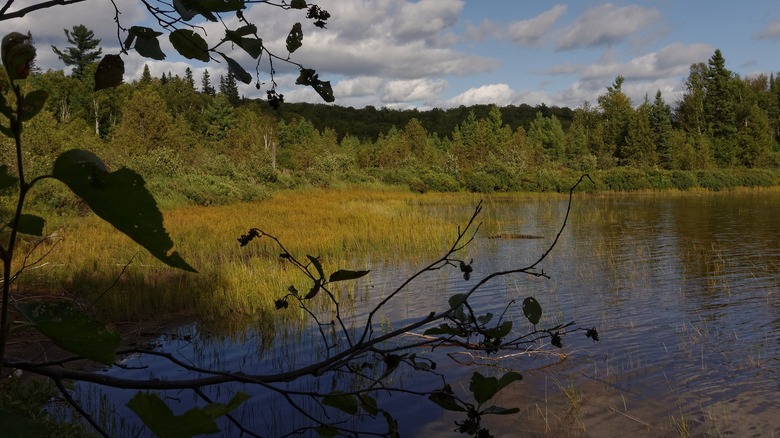 Paysage du lac Windigo au Québec