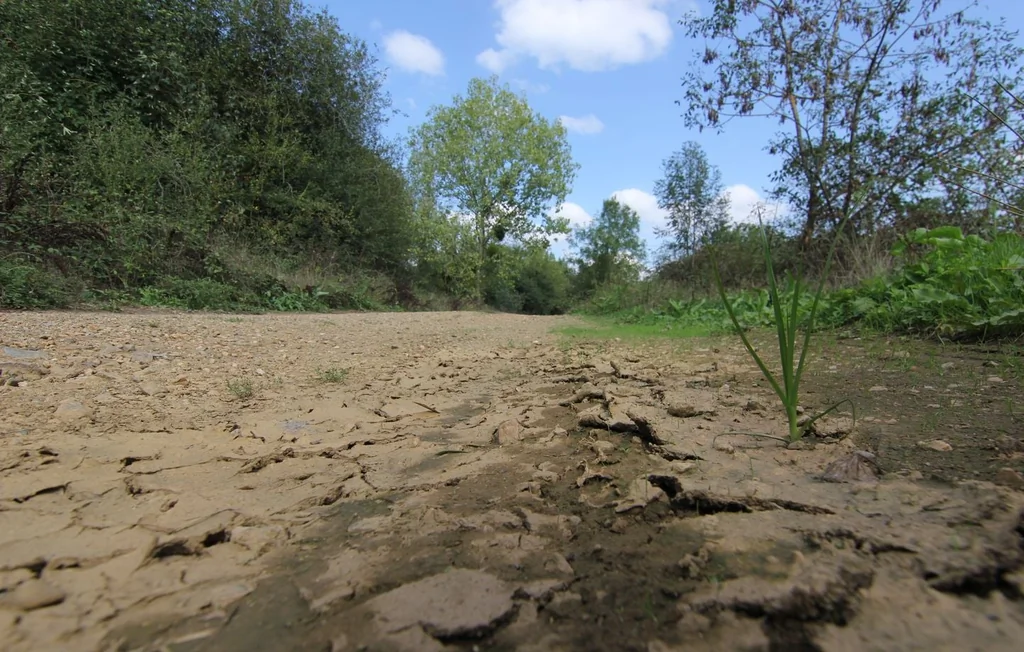 Sécheresse : l'état des nappes phréatiques reste incertain pour l'été