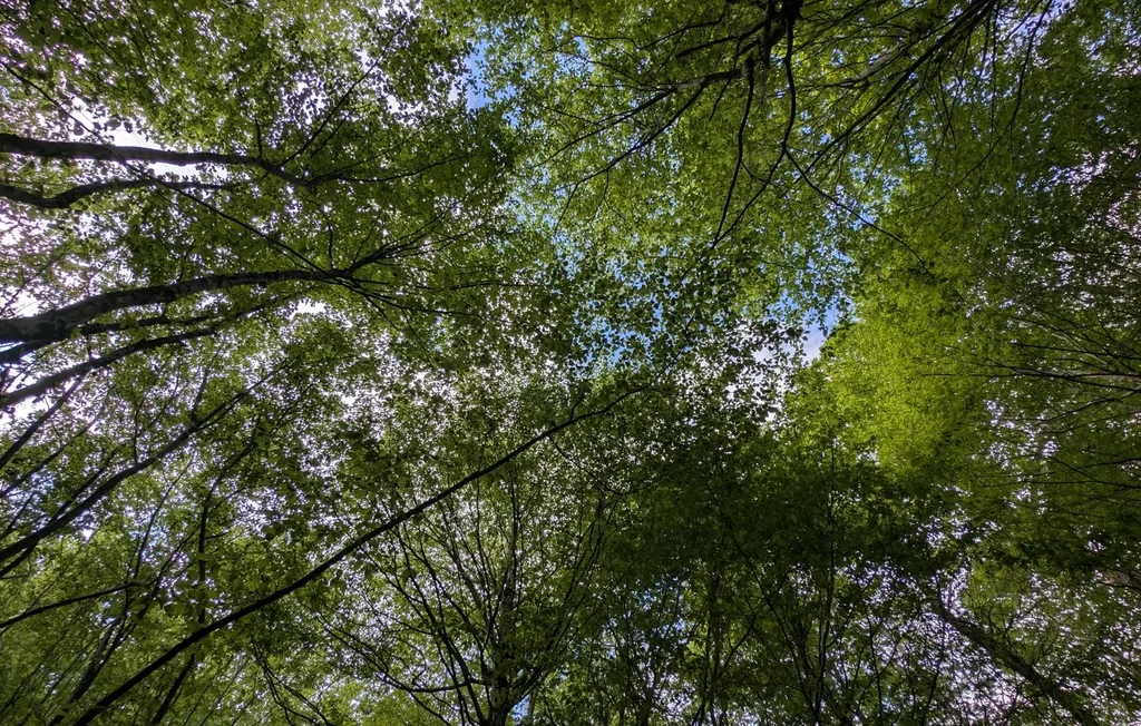Sondage : 61 % des Français privilégient l'économie à l'écologie