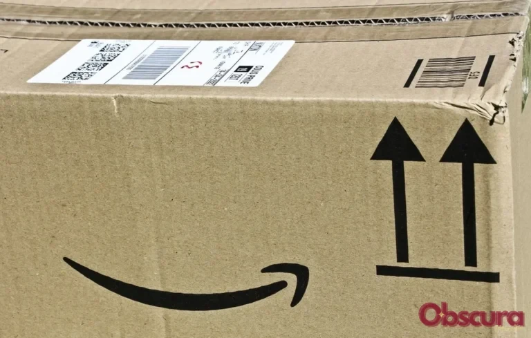Tarn-et-Garonne : il découvre un serpent vivant dans son colis Amazon