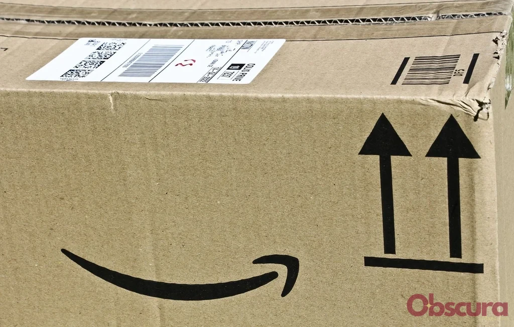Tarn-et-Garonne : il découvre un serpent vivant dans son colis Amazon