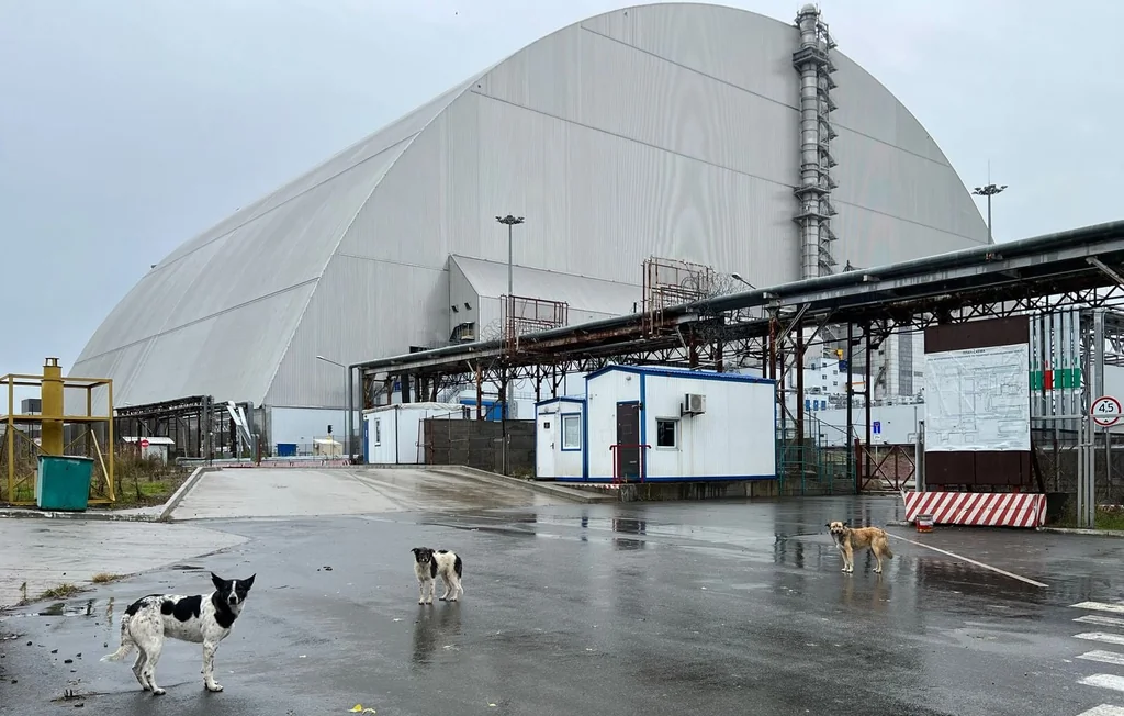 Tchernobyl : 40 ans après, la nature reprend ses droits malgré tout