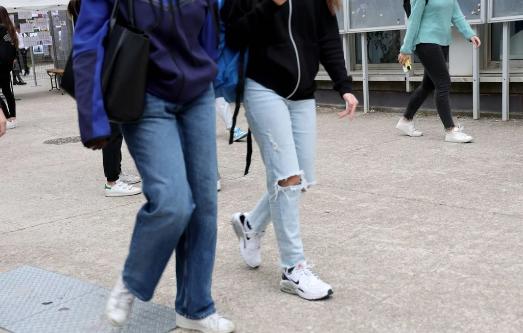 Tentative d'assassinat à Ancenis : un lycéen de 15 ans mis en examen