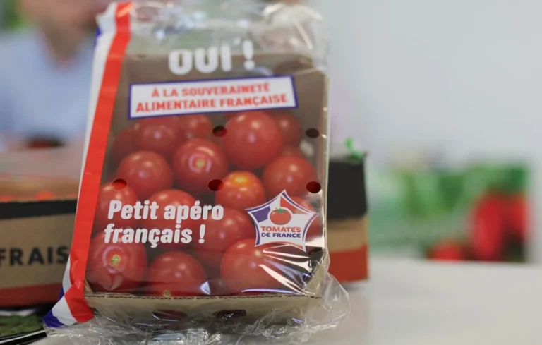 Tomate cerise : la France veut détrôner la concurrence marocaine