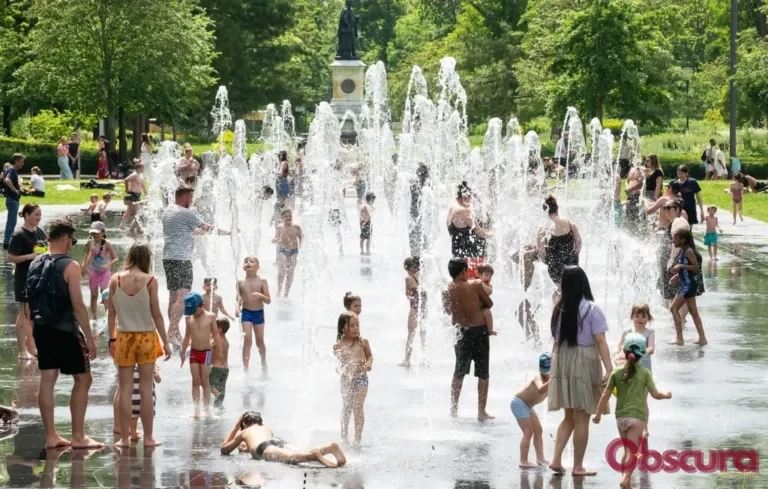 Vague de chaleur : des records historiques battus en France en mai