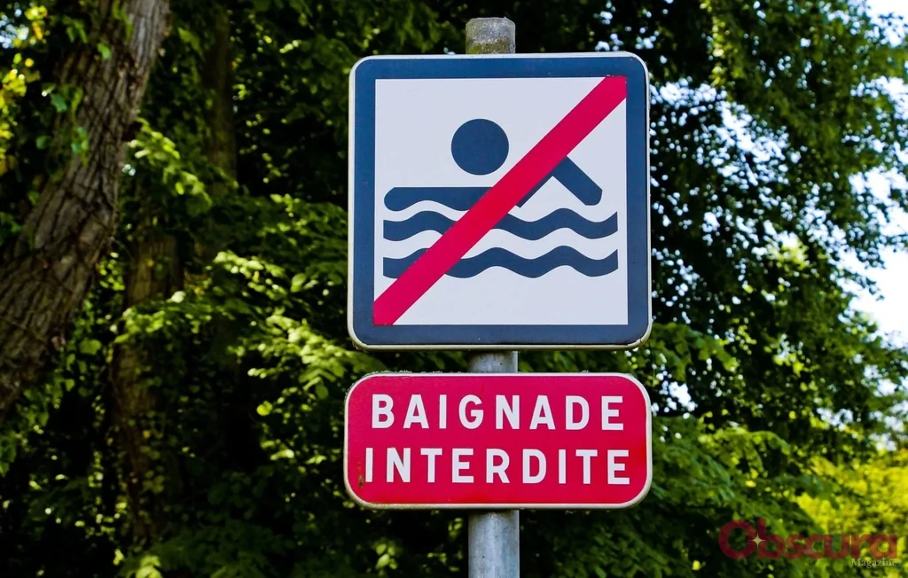 Val-d'Oise : un adolescent de 16 ans se noie lors d'une sortie scolaire