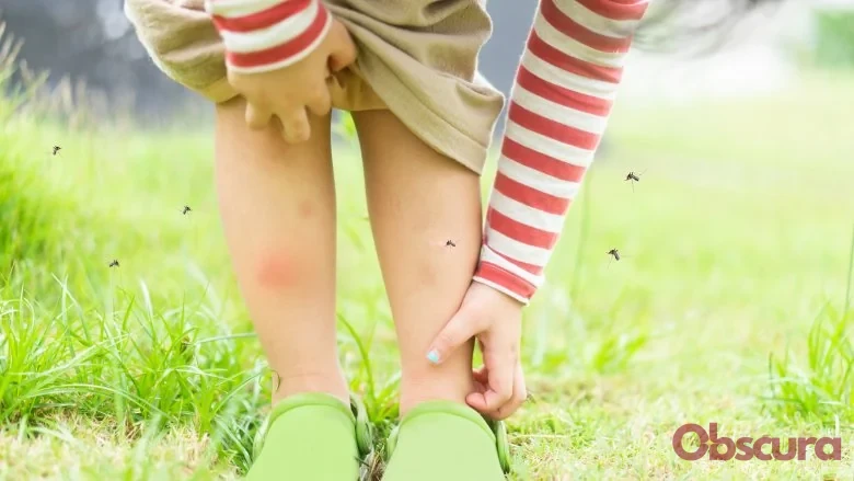 Mosquitoes biting