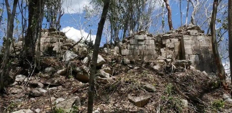 Vue d'ensemble de la cité maya de Minanbé découverte dans la réserve de Calakmul, juin 2026 (INAH)