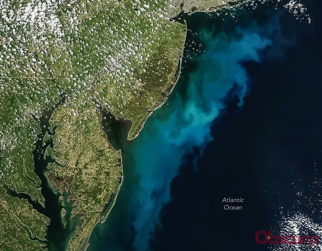 Au large de la côte est américaine, la NASA suit un bloom de phytoplancton aux couleurs trompeuses