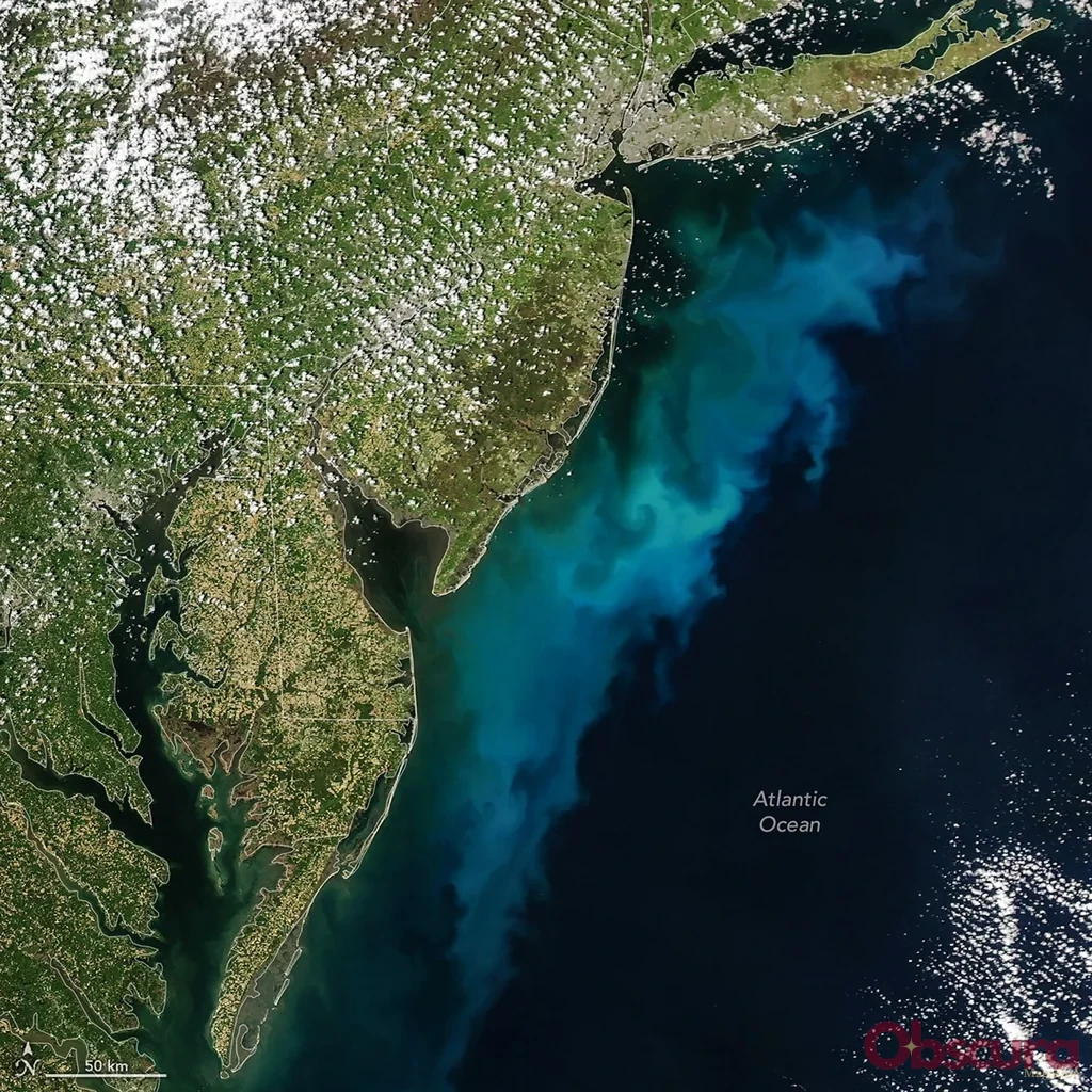 Au large de la côte est américaine, la NASA suit un bloom de phytoplancton aux couleurs trompeuses