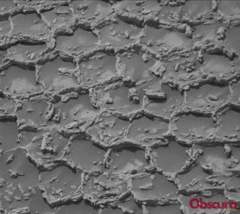 Sur Mars, Curiosity examine une surface en « nid d’abeille » sans tirer de conclusion hâtive