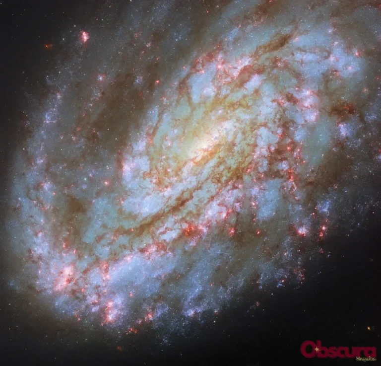 NGC 4654 : pourquoi cette galaxie spirale semble avoir été tirée d’un seul côté